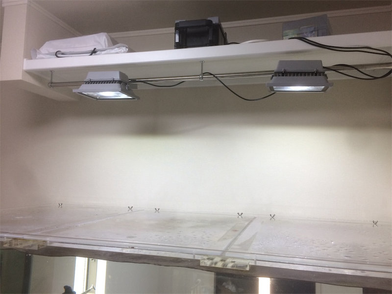 水槽上部のパイプに固定したLED投光器の設置状態