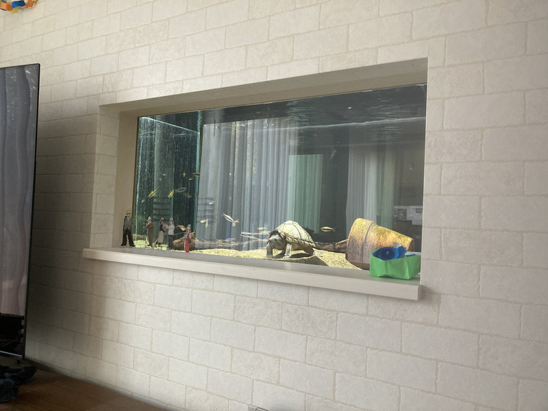 リビングの壁をくりぬいて設置した90㎝水槽