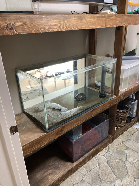 壁埋め込み水槽の裏側