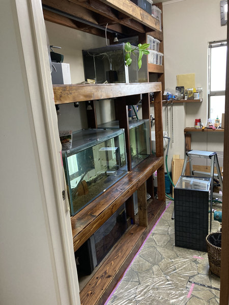 水槽部屋として利用している趣味の空間