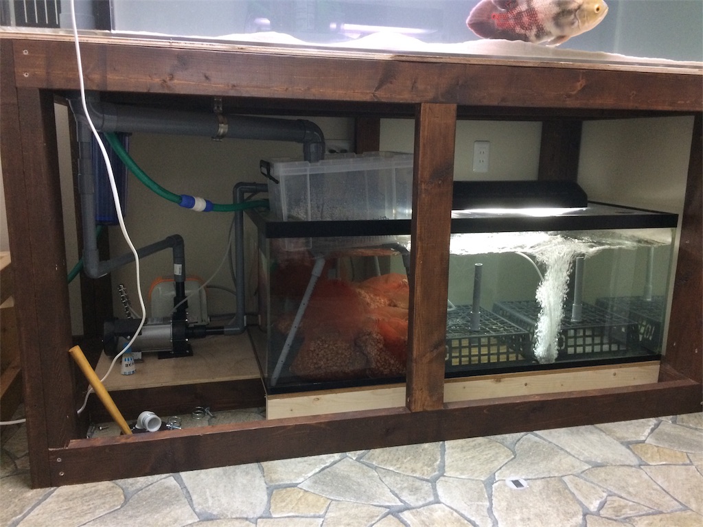 f:id:runx9922:20180331065538j:image 濾過槽本体