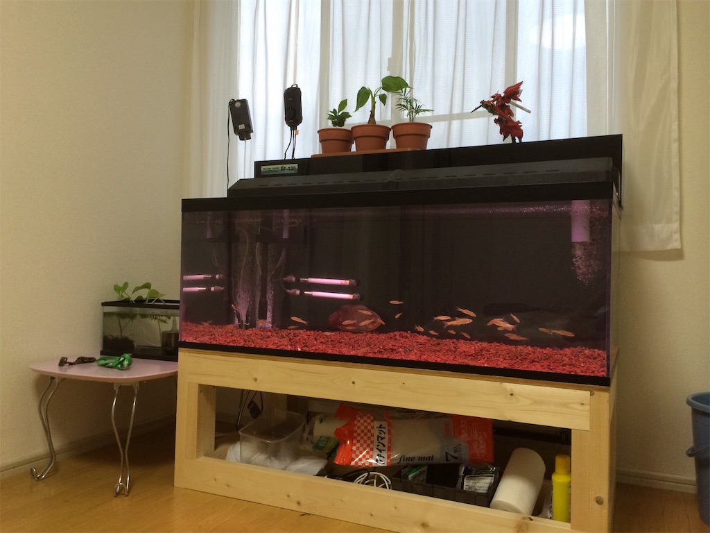 f:id:runx9922:20180429210347j:image オスカー飼育環境2 水槽サイズ1200×600×450
