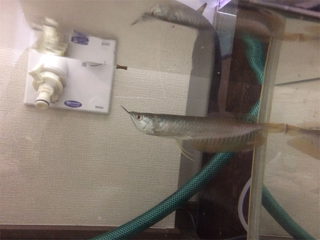 f:id:runx9922:20181030080625j:image f:id:runx9922:20181030080625j:image