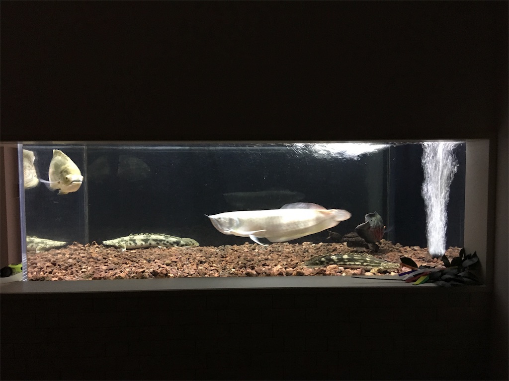 f:id:runx9922:20181030082505j:image f:id:runx9922:20181030082505j:image