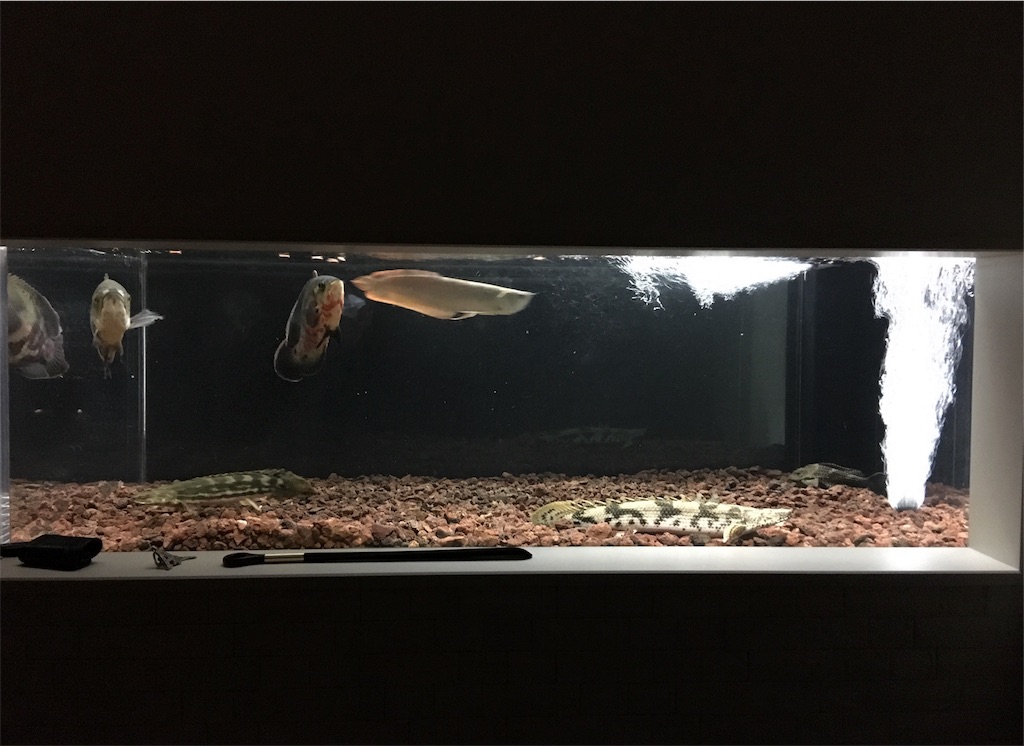 f:id:runx9922:20181030082541j:image f:id:runx9922:20181030082541j:image