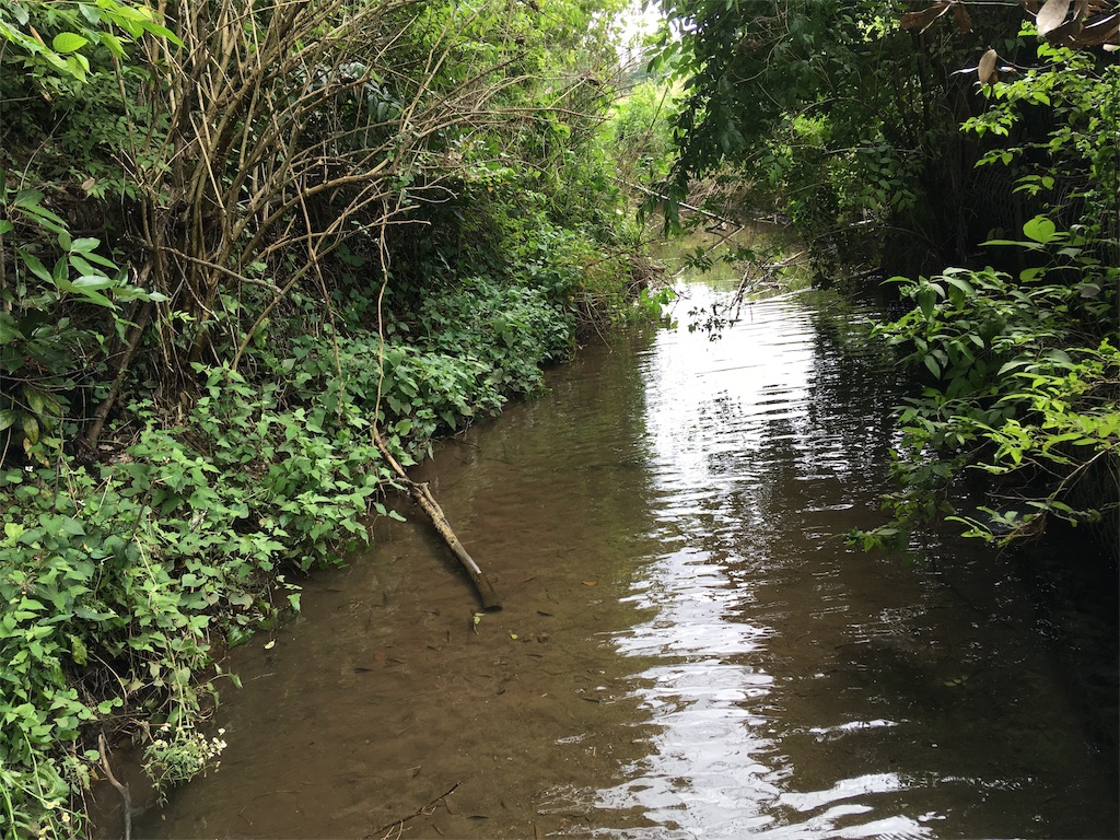 f:id:runx9922:20190808141039j:image f:id:runx9922:20190808141039j:image