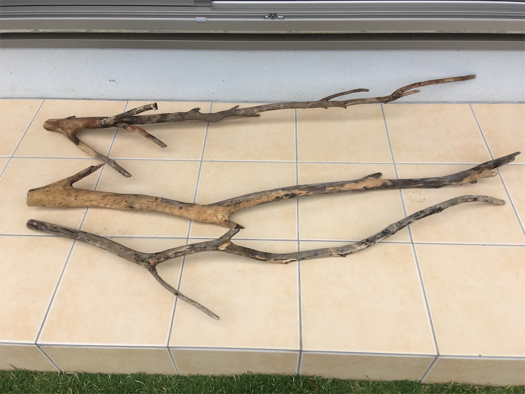 f:id:runx9922:20190808141619j:image f:id:runx9922:20190808141619j:image