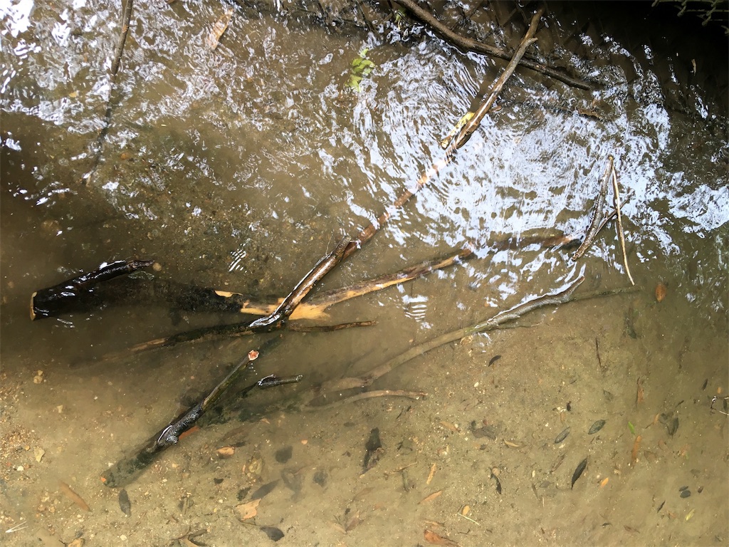 f:id:runx9922:20190808142051j:image f:id:runx9922:20190808142051j:image