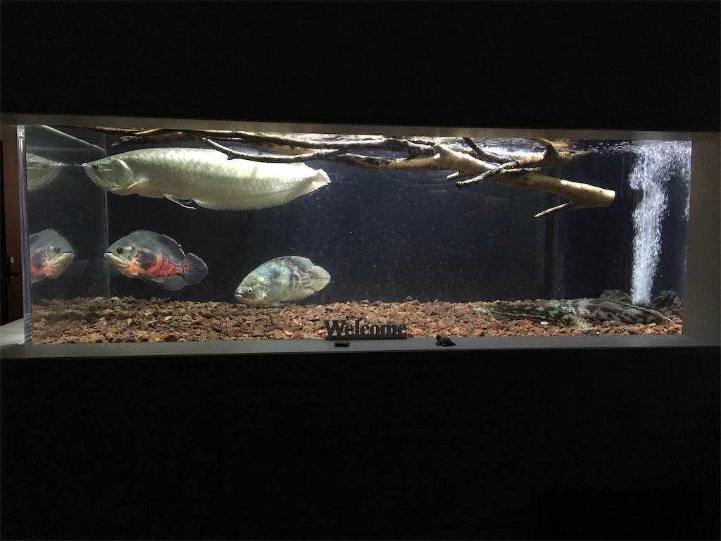 f:id:runx9922:20190808143005j:image f:id:runx9922:20190808143005j:image