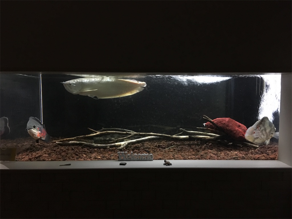 f:id:runx9922:20190808143107j:image f:id:runx9922:20190808143107j:image