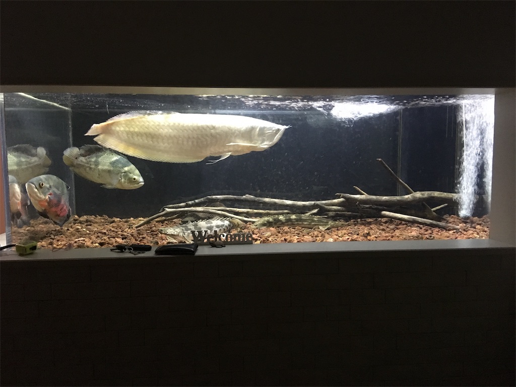 f:id:runx9922:20190817172911j:image f:id:runx9922:20190817172911j:image