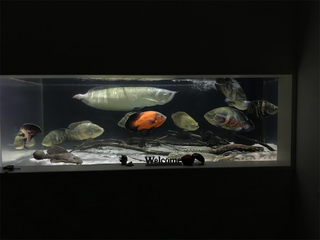 f:id:runx9922:20200626193804j:image f:id:runx9922:20200626193804j:image