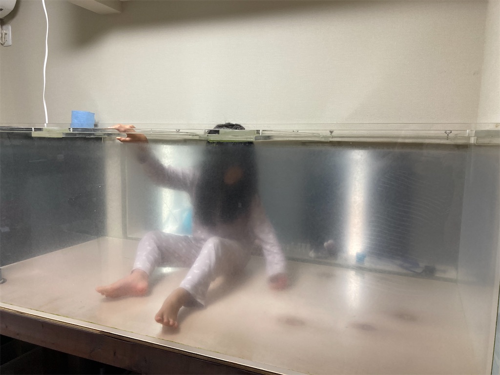 プレコ飼育によって無数の深い傷が入ったアクリル水槽の作業前状態