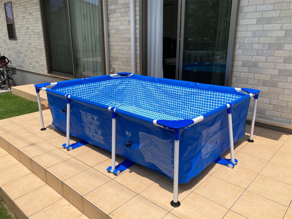 アクリル水槽研磨中に大型魚をプールで一時飼育している様子