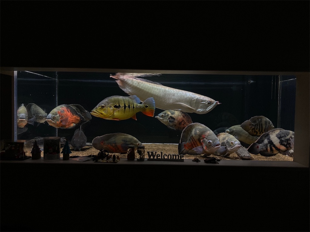 f:id:runx9922:20250517152002j:image f:id:runx9922:20250517152002j:image