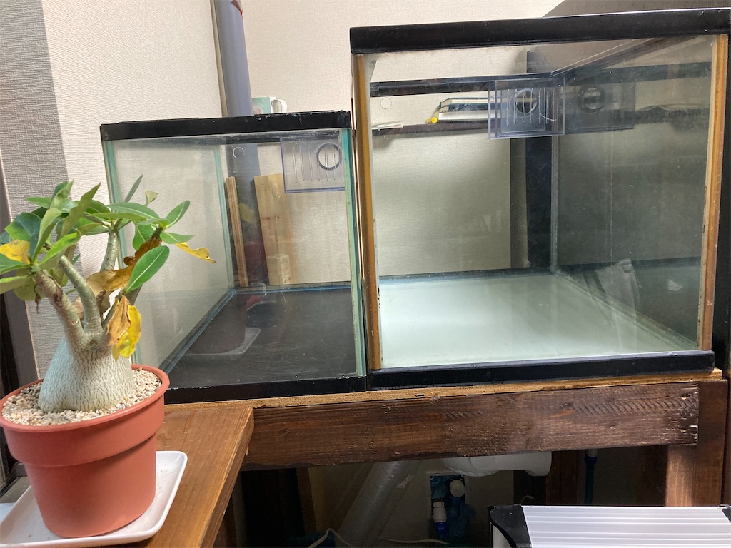 f:id:runx9922:20250607162856j:image