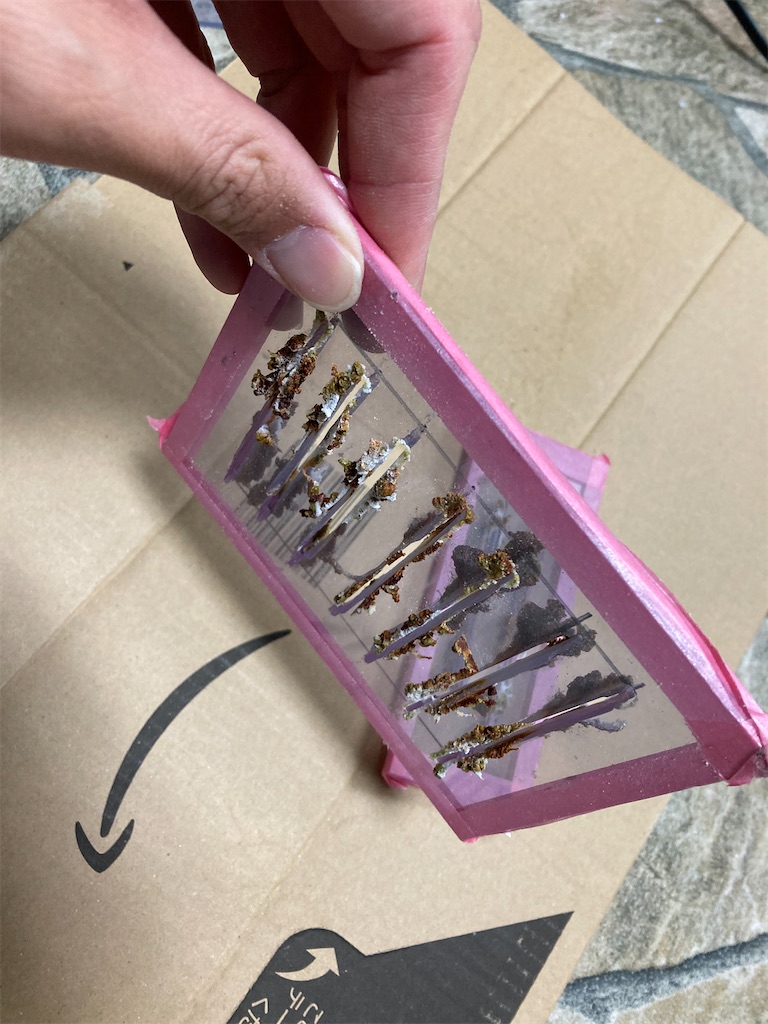 f:id:runx9922:20250607163202j:image