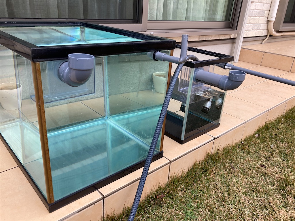 f:id:runx9922:20250607164057j:image