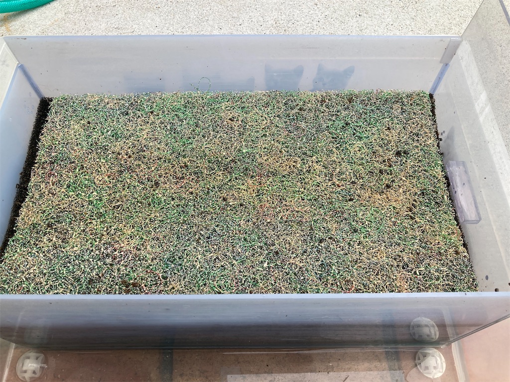 大型魚過密水槽で使用している物理濾過用のサランロック
