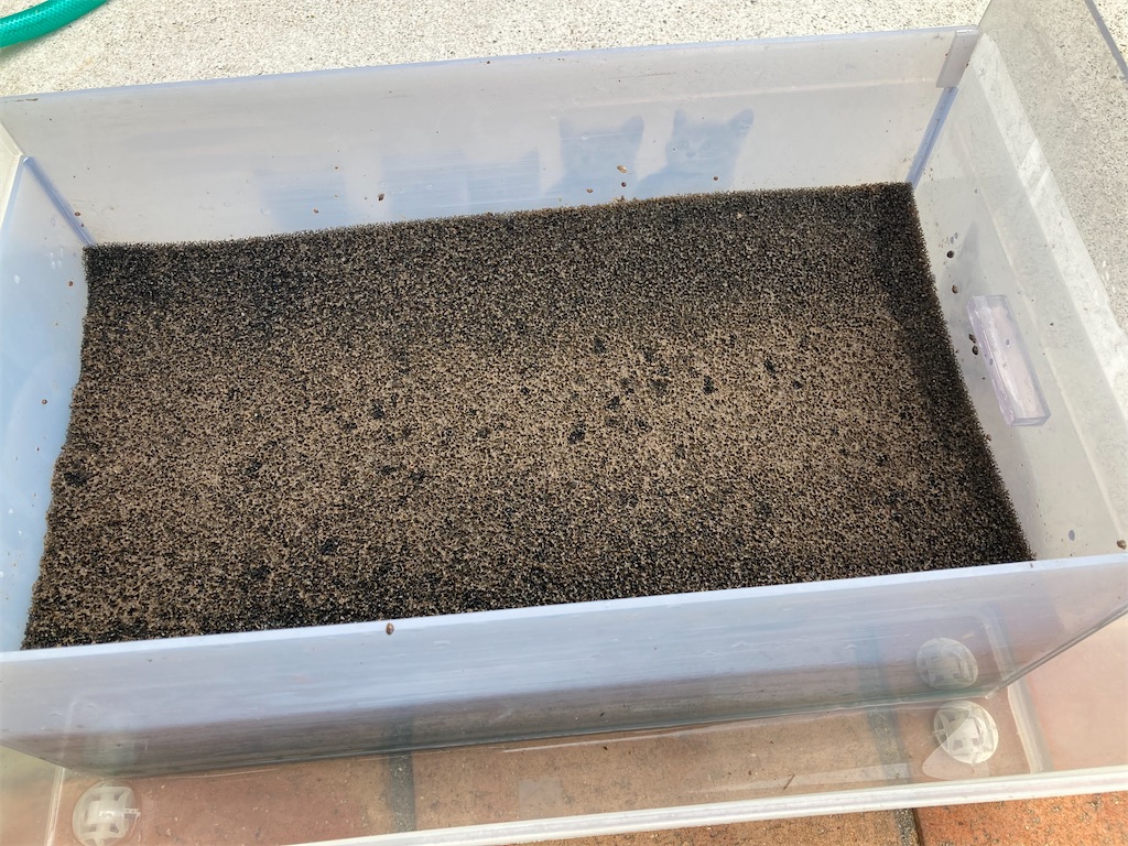 物理濾過槽に重ねて使用しているブラックスポンジマット
