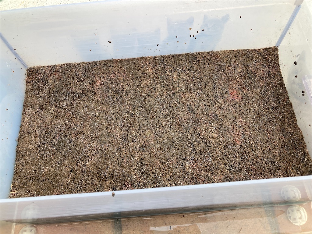 ブラックスポンジ下段に配置している物理濾過用ブラウンマット
