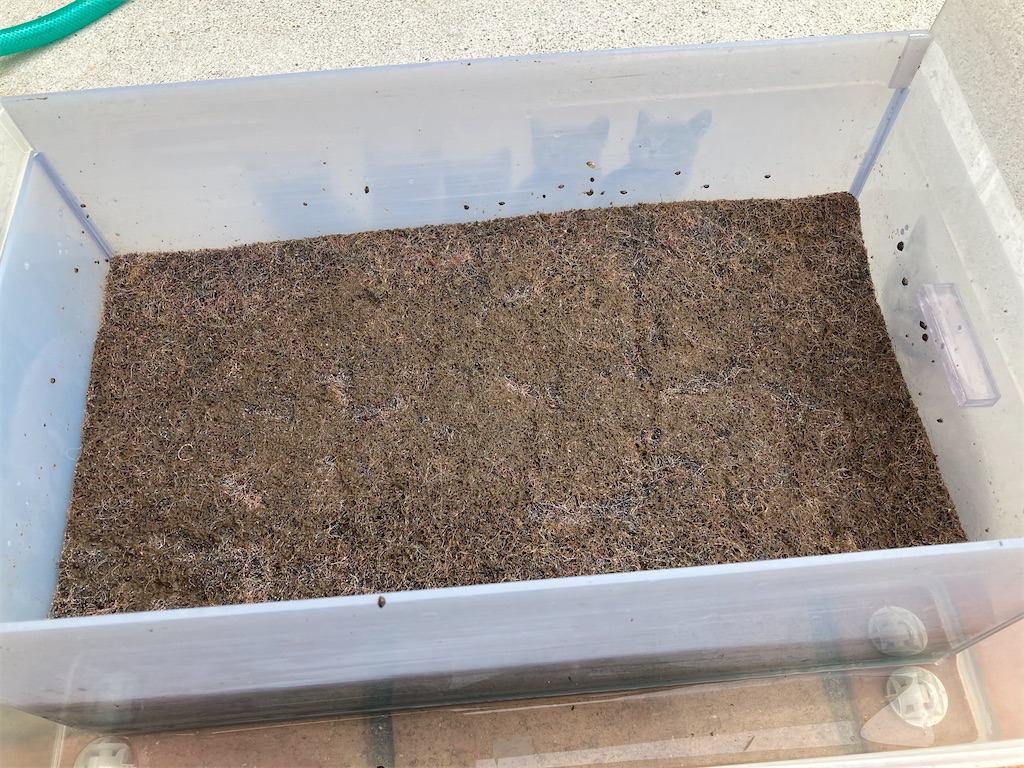 大型魚過密水槽の物理濾過で使用しているブラウンマット
