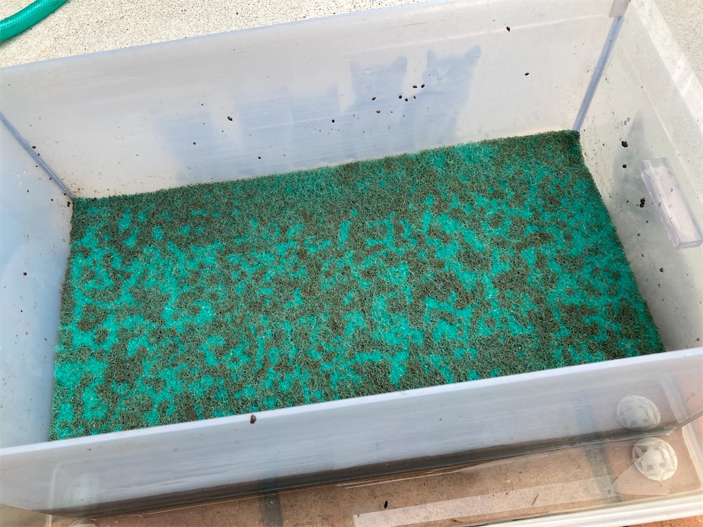 長期使用している物理濾過用グリーンマットの状態
