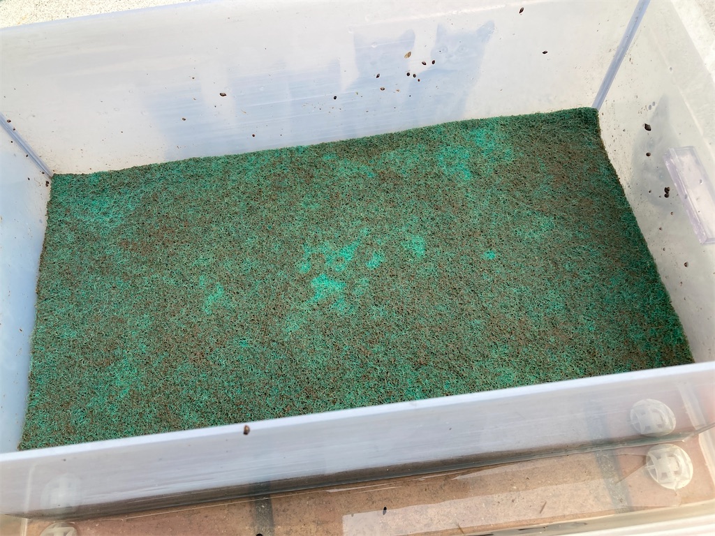 物理濾過槽内に重ねて設置しているグリーンマット

