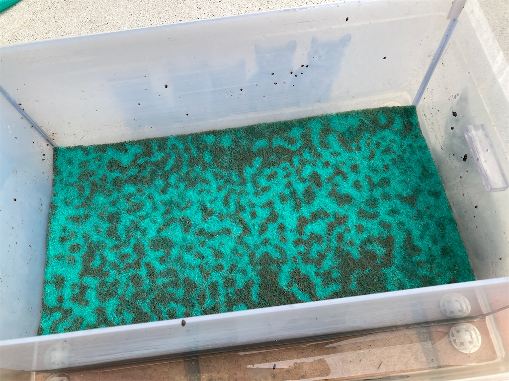 複数枚重ねて運用している物理濾過用グリーンマット
