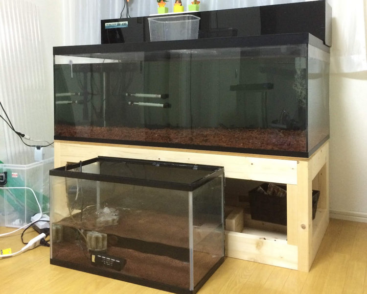 120㎝水槽と60㎝水槽の大きさを比較している写真