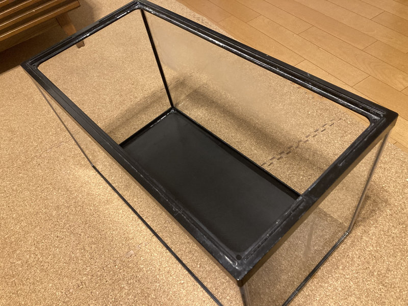底面ブラック化した水槽