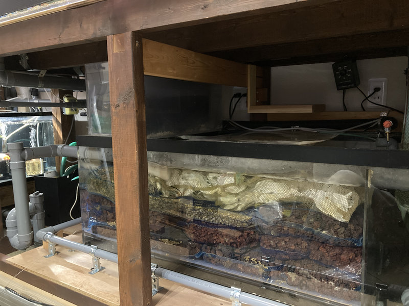 自作オーバーフロー濾過槽の全景と濾過構成が分かる写真