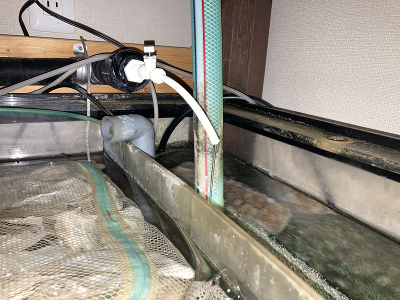 ニードルバルブを使用して新水垂れ流しの流量を調整した様子