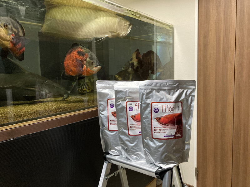 大型魚の餌で使用しているffnum100アロワナスティック