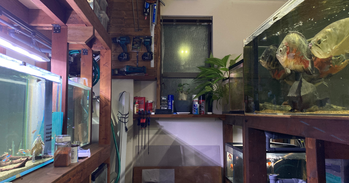 4畳半の水槽部屋